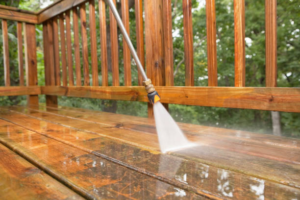 Best Solar Panel Cleaning  in Eaton, IN